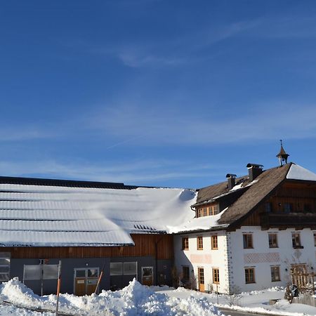 Vorderreithbauer Διαμέρισμα Hof bei Salzburg Εξωτερικό φωτογραφία