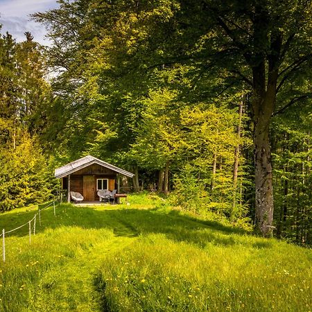 Vorderreithbauer Διαμέρισμα Hof bei Salzburg Εξωτερικό φωτογραφία