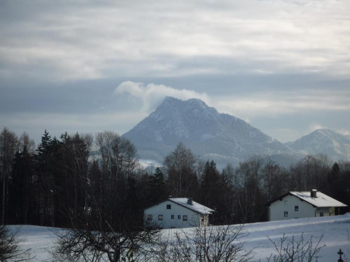 Vorderreithbauer Διαμέρισμα Hof bei Salzburg Εξωτερικό φωτογραφία