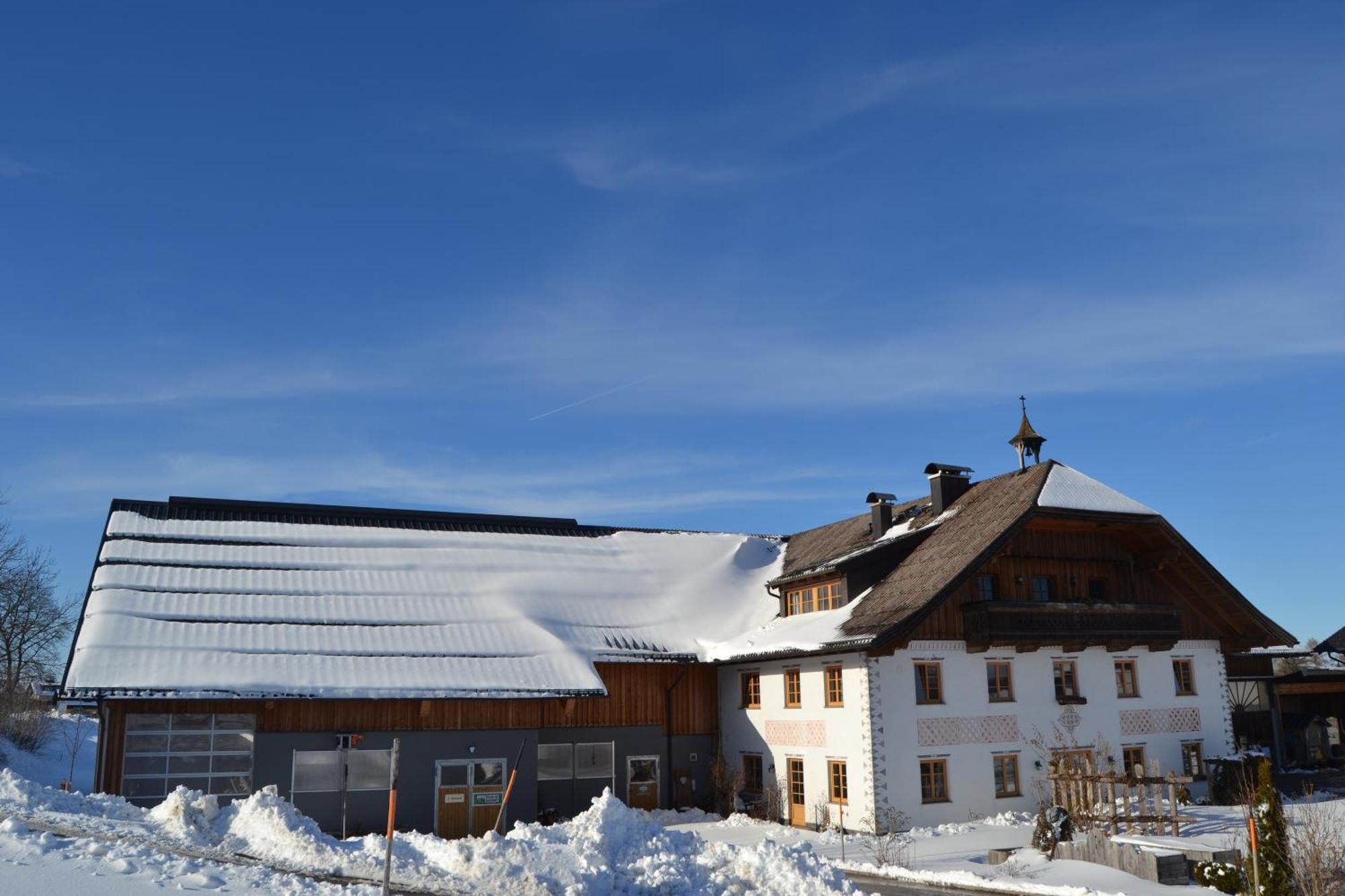 Vorderreithbauer Διαμέρισμα Hof bei Salzburg Εξωτερικό φωτογραφία